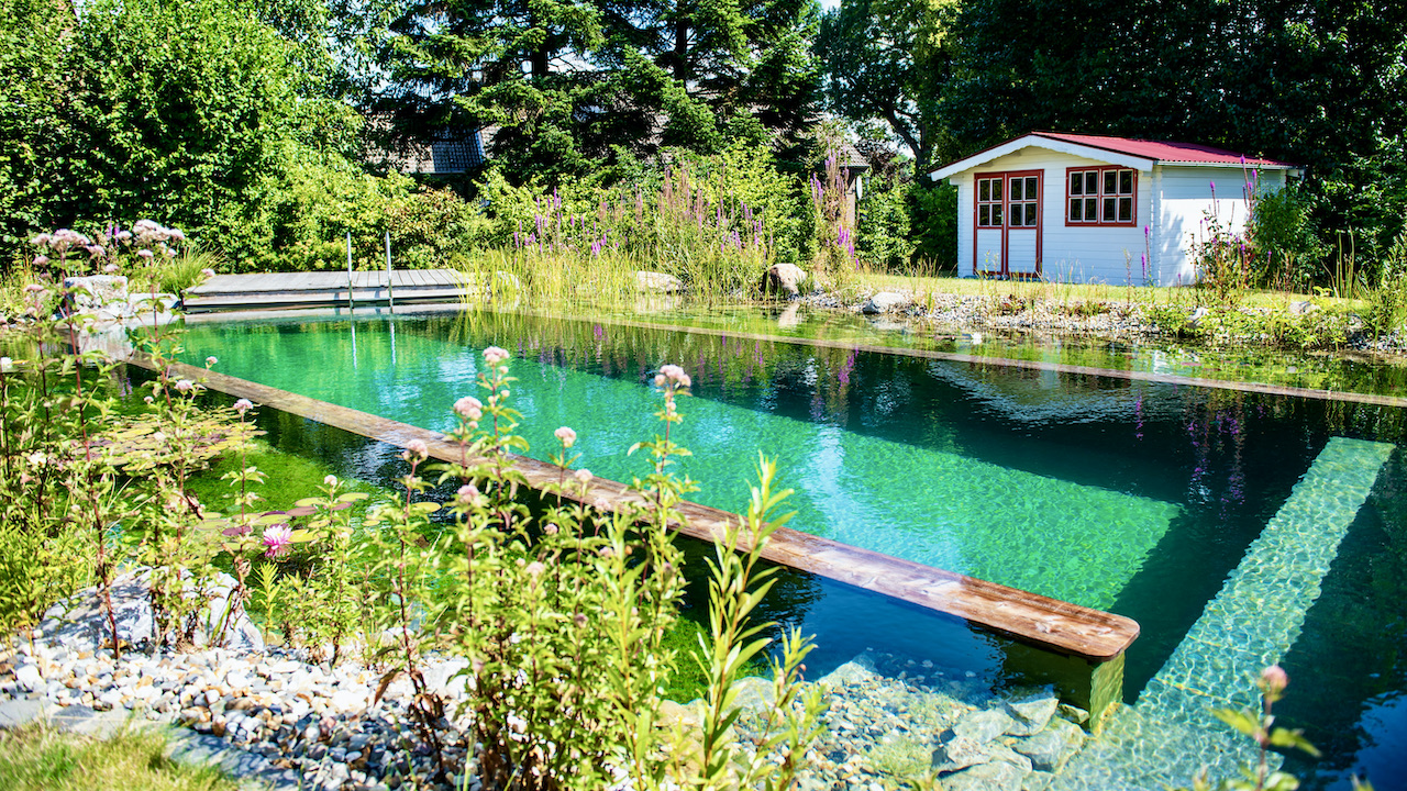 Piscine_naturelle_BioNova_6