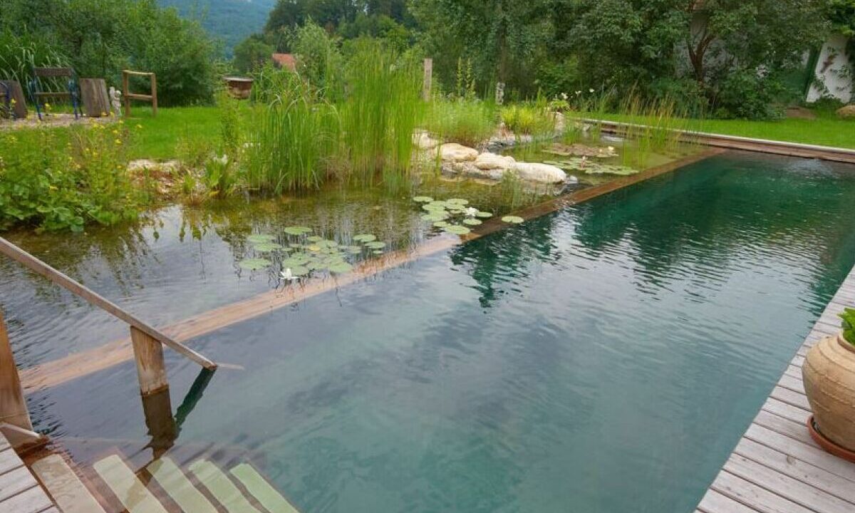 piscine-naturelle-un-bassin-bio-dans-votre-jardin-19247-1200-800